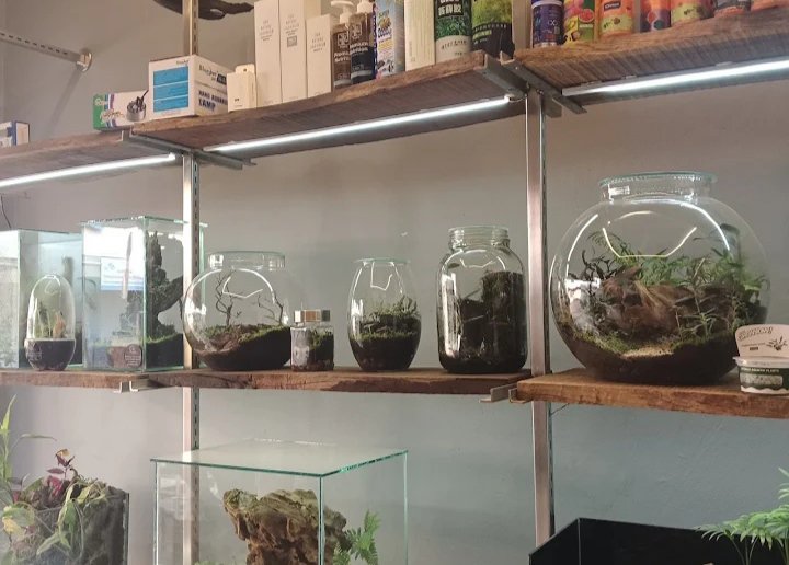 Terrarium Eco World - Photo 2