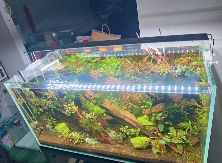 Terrarium Eco World - Photo 4